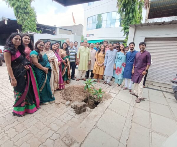 tree plantation